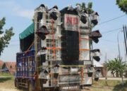 Pemkab Jombang Bakal Rilis Edaran Pelarangan ‘Sound Horeg’