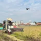 Oktober 2026,  Bulog Kediri Serap Gabah Petani  Lampau Batas Target Hingga 107,87 %