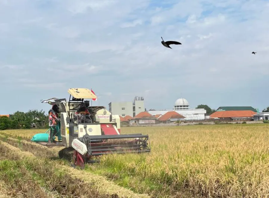 Oktober 2026, Bulog Kediri Serap Gabah Petani Lampau Batas Target Hingga 107,87 % 1 WhatsApp Image 2026 01 25 at 18.27.20