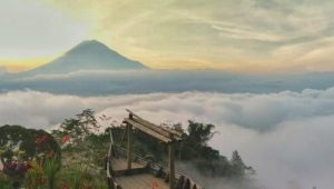 Bukit Simbar Semeru Jadi Destinasi Wisata Baru di Lumajang