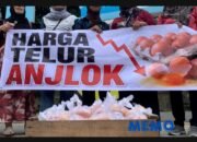 Ratusan Massa Gelar Aksi Peternak Ayam Tulungagung Tolak Ekspansi Korporasi Global