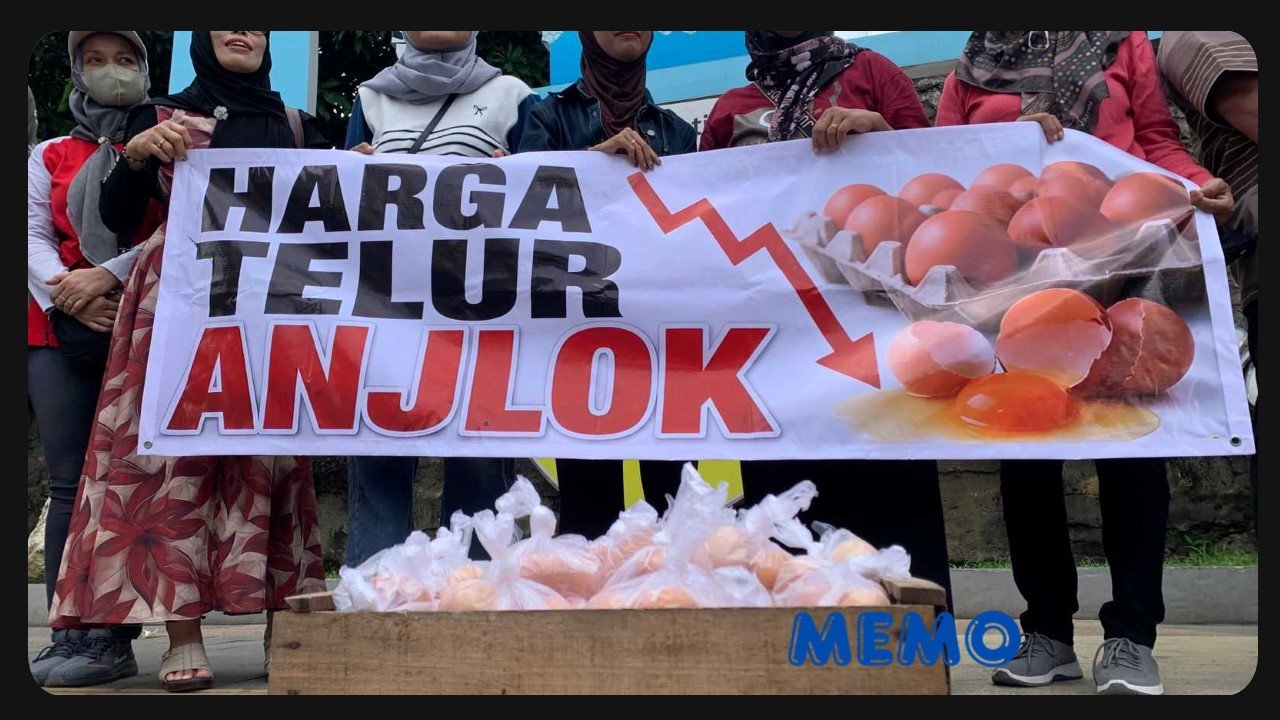 aksi peternak ayam telor di tulungagung