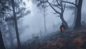 Letusan Gunung Semeru, Jayabaya dan Ramalan Terbelahnya Pulau Jawa