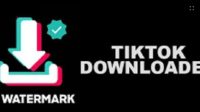 SnapTik Capcut, Aplikasi Terbaik untuk Download Video TikTok Tanpa Watermark