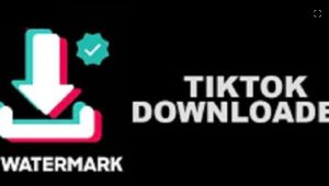 SnapTik Capcut, Aplikasi Terbaik untuk Download Video TikTok Tanpa Watermark