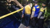 Balita 4 Tahun Tenggelam di Kolam Renang Hotel Bukit Daun