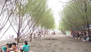 Akhir Liburan Pantai Cemara Sepi