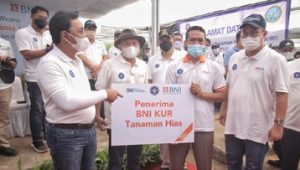 UKM Tanaman Hias Jadi Mitra BNI dan Dapatkan Kredit Usaha Rakyat