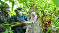 Berada di Kampung Jambu Banyuwangi, Dorong Warga Desa Berinovasi Produk Frozen