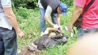 Gara gara Diisukan Dukun Santet, Tewas Dibantai Dua Orang