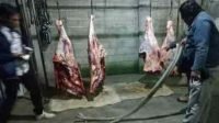 Daging Sapi Gelonggong Beredar di Pasaran Nganjuk dan Kediri, Ini Ciri Cirinya