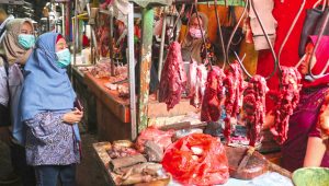 Langkah Pemerintah Pacu Ketersediaan Daging Bersumber dari Sapi Lokal