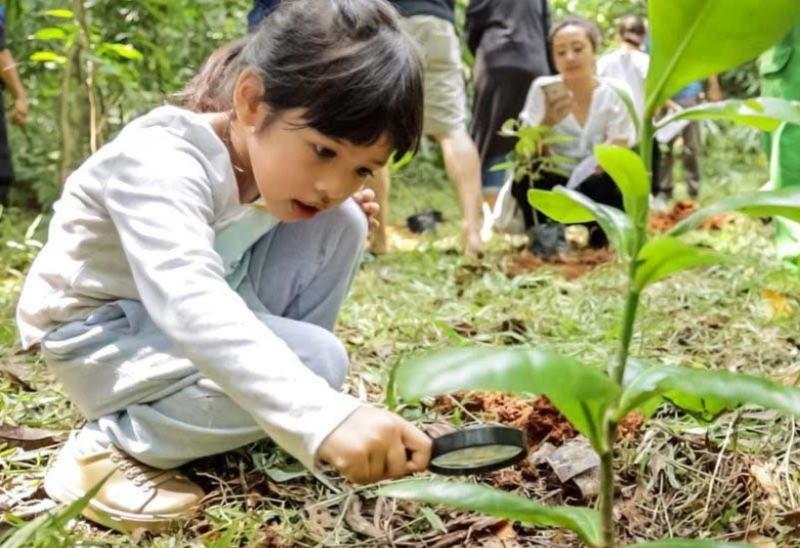 hutan kota srengseng