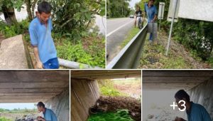 Ibunya Meninggal, Ayahnya Kawin Lagi, Kakak Beradik Ini Tinggal di Kolong Jembatan