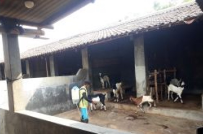 Terimbas Wabah PMK, Pasar Jual Beli Hewan Kambing Jelang Idul Kurban Sepi