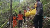 Hilang Dua Minggu, Kakek Berumur 80 Tahun, Mati di Tengah Hutan