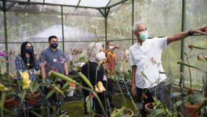 Persolek Kampung Nanas dan Kampung Anggrek Untuk Perkuat Wisata Gunung Kelud, Ini Cara Bupati Kediri