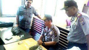 PENGEDAR DAUN GANJA DIRINGKUS POLSEK TAPUNG SAAT RAZIA CIPKON