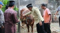 Polres Kediri Kota Korban 36 Kambing Dan 2 ekor Sapi