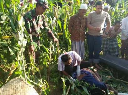 diteriaki malng, lari ke tengah kebun jagung, kena serangan jantung akhirnya mati