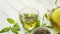 Manfaat dan Waktu yang Tepat Minum Teh Hijau untuk Kesehatan Optimal