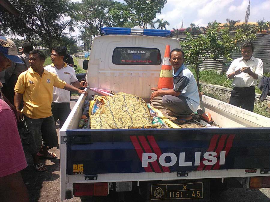 mati di rengah sawah