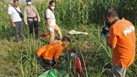 Semalam Menghilang, Penderita Asma dan Jantung Ini  Mati di Sawah