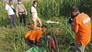 Semalam Menghilang, Penderita Asma dan Jantung Ini  Mati di Sawah