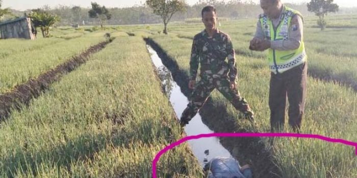 Penyakit Epilepsi Kambuh di Sawah, Petani Bawang Tewas Telungkup di Parit