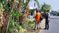 Mayat Tergeletak di Pinggir Jalan  Terlilit Sajadah Gegerkan Warga Mojokerto