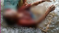 Mengapung di Sungai Dikira Boneka, Ternyata Mayat Nenek Renta