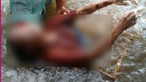 Mengapung di Sungai Dikira Boneka, Ternyata Mayat Nenek Renta