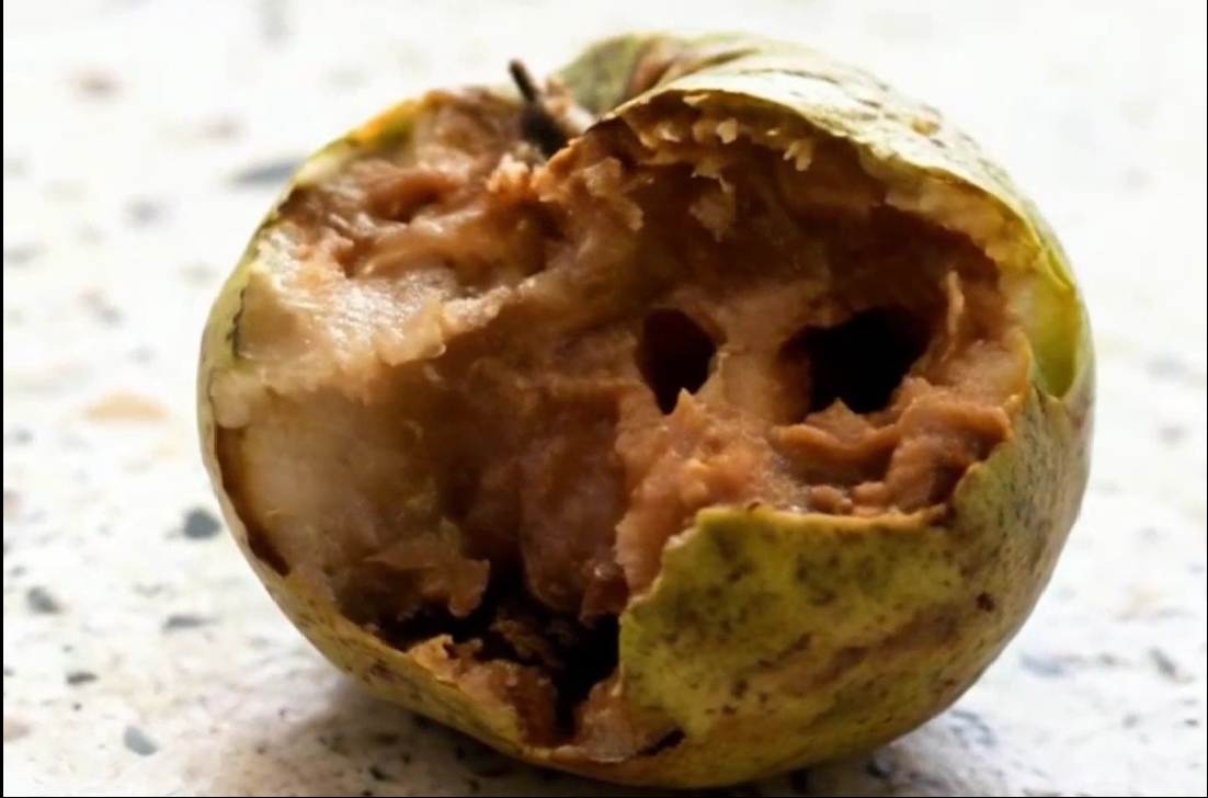 Kejadian Jambu Membusuk: Siswa di SMPN 1 Nglames menemukan jambu biji membusuk dalam paket menu dari SPPG Tempursari. Kejadian Nanas Utuh: Wali murid di TK Bongsopotro mengeluhkan pemberian nanas utuh yang belum dikupas bagi anak usia dini.