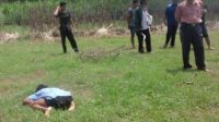 Manjat Kelapa, Kaki Injak Pelepah dan Terpeleset, Jatuh Hingga Tewas