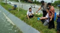 Perempuan Tua Terpeleset dan Mengapung di Tambak Udang