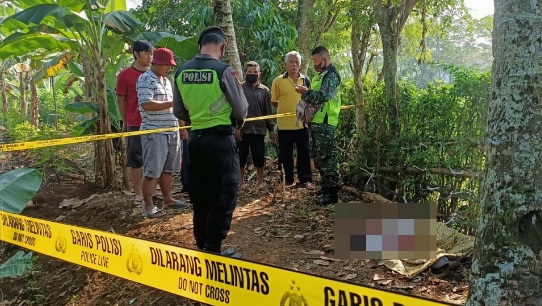 Panjat Pohon Kelapa, Terpeleset, Meninggal