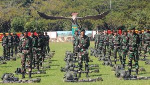 Dulunya Satuan Kopassus, Ini Profile Pasukan Para Raider 431/SSP di Papua