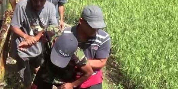 Pamitan Main, Tiga Hari Gak Pulang, Ketemu Jadi Mayat Menggelantung  di Pohon