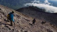 Tim SAR Temukan Jejak Dua Pendaki Gunung Semeru