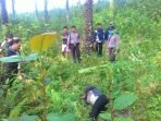 Mayat Wanita Diduga PSK Tergeletak di Kebun Singkong