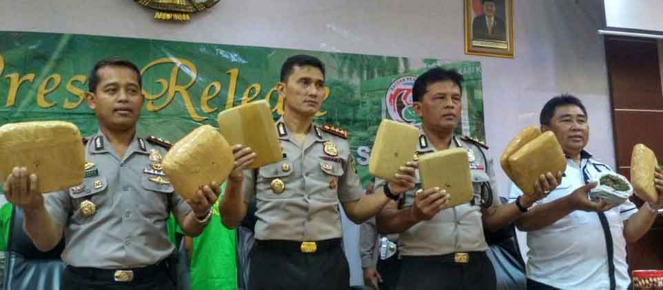 pemasok ganja di kampus kampus