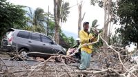 Kayu Mati Belum Dipotong Masyarakat Harus Sabar