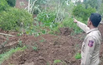 Megaproyek Wisata Watu Lawang Nganjuk Dihentikan Sementara Akibat Izin 8 proyek ilegal watulawang