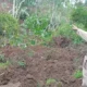 Megaproyek Wisata Watu Lawang Nganjuk Dihentikan Sementara Akibat Izin