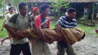 Petani Tewas Disambar Petir