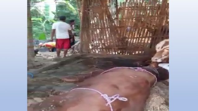 sapi terpapar PMK di Nganjuk