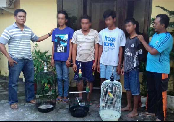 sindikat pencuri burung