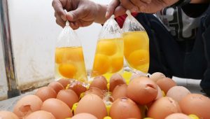 Telur Ayam Retak Laku di Pasaran, Menyusul Naiknya Harga Telur   