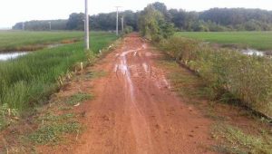 Warga Desa Serdang Harapkan Pembangunan Jalan dan Jembatan